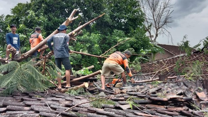 Warga dan relawan membersihkan rumah tertimpa pohon di Kalikotes Klaten, (Senin 10/10/2022).