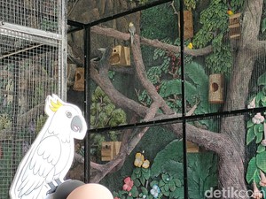 Wisata Taman Burung Sabda Alam Garut, Lokasi dan Harga Tiket