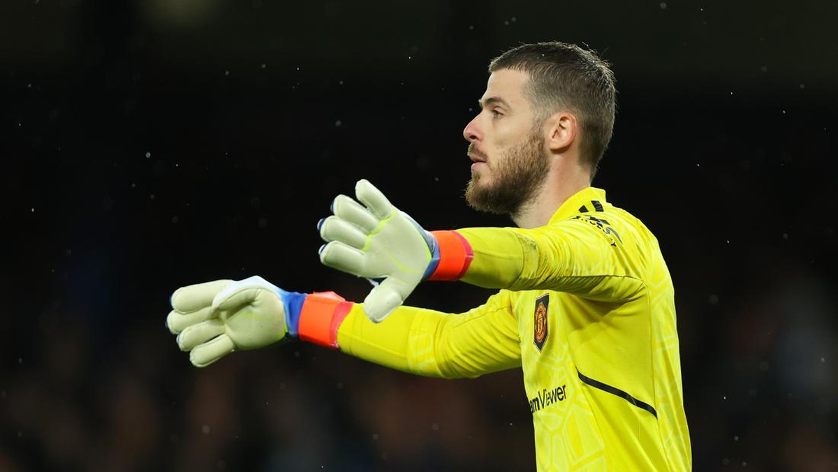 David de Gea, bertahan atau dilepas Manchester United? (Foto: Getty Images/James Williamson - AMA)