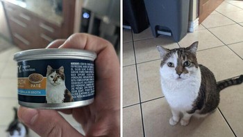 Mungkinkah memang sang kucing yang jadi model di kemasan makanannya? Foto: Bored Panda