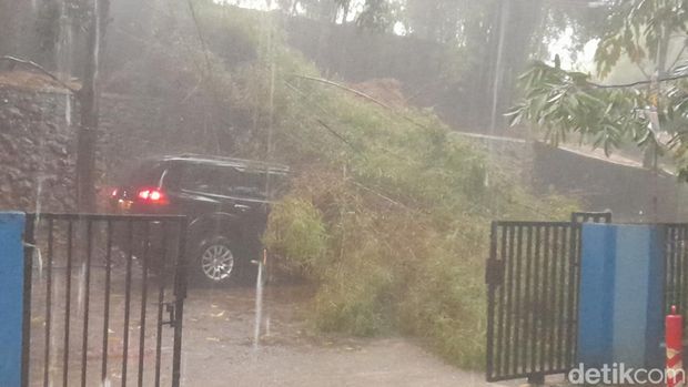 5 motor dan 3 mobil tertimpa pohon tumbang di Pokur akibat hujan dan angin