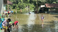 Sejumlah anak berjalan melintasi banjir yang merendam permukiman di Sungai Ana Baning, Kecamatan Sintang, Kabupaten Sintang, Kalimantan Barat. ANTARA FOTO/Jane Elisabeth Wuysang