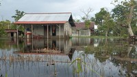 Suasana permukiman masyarakat yang terendam banjir di Desa Sedahan Jaya, Kecamatan Sukadana, Kabupaten Kayong Utara, Kalimantan Barat. ANTARA FOTO/Danang Prasetyo