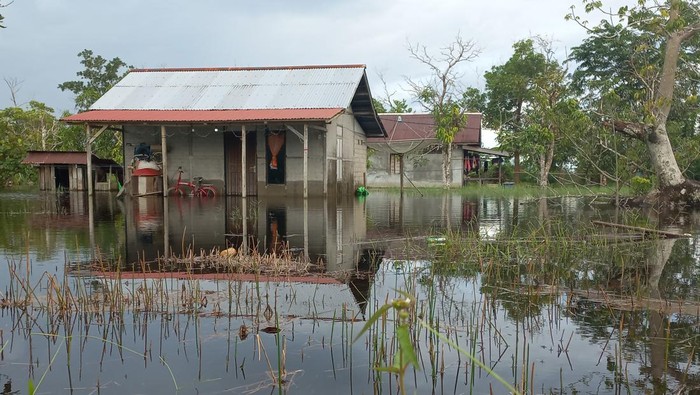 Kalimantan Barat Dikepung Banjir, Begini Penampakannya Suasana permukiman masyarakat yang terendam banjir di Desa Sedahan Jaya, Kecamatan Sukadana, Kabupaten Kayong Utara, Kalimantan Barat, Senin (10/10/2022). Tingginya curah hujan yang mengguyur Desa Sedahan Jaya pada Sabtu (8/10/2022) hingga Minggu (9/10/2022) mengakibatkan banjir di daerah tersebut. ANTARA FOTO/Danang Prasetyo/jhw/rwa.
