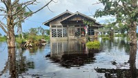 Suasana permukiman masyarakat yang terendam banjir di Desa Sedahan Jaya, Kecamatan Sukadana, Kabupaten Kayong Utara, Kalimantan Barat. ANTARA FOTO/Danang Prasetyo