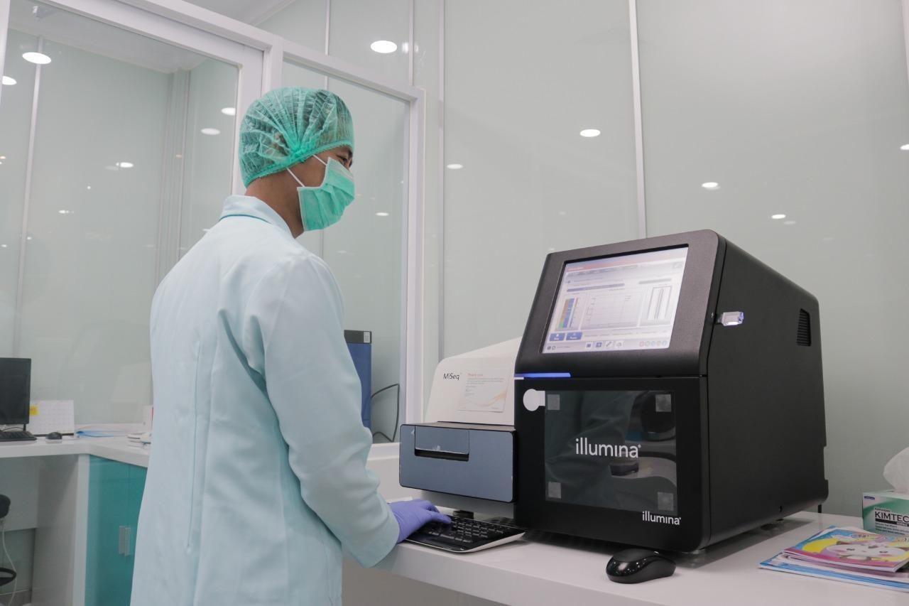 Morula IVF