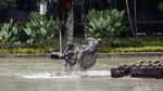 Cegah Banjir, Situ Lembang Dikeruk
