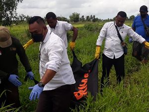 Misteri Tewasnya Pria Pemburu Tikus di Hutan Merauke dengan Luka Tembak