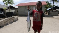 detikcom bersama BRI mengadakan program Tapal Batas yang mengulas perkembangan ekonomi, infrastruktur, hingga wisata di beberapa wilayah terdepan Indonesia. Untuk mengetahui informasi dari program ini ikuti terus berita tentang Tapal Batas di tapalbatas.detik.com.