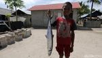 Potret Anak-anak Pulau Terluar Jualan Ikan Keliling Kampung