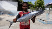 Seorang anak menunjukkan ikan yang dijualnya di Desa Eliasa, Pulau Selaru, Kabupaten Kepulauan Tanimbar, Maluku. Ikan yang dijual merupakan hasil tangkapan orang tuanya.