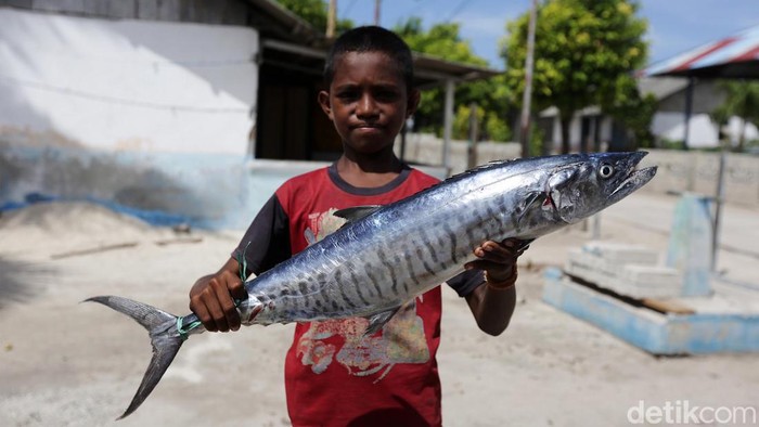 Potret Anak-anak Pulau Terluar Jualan Ikan Keliling Kampung Sejumlah anak-anak berkeliling menjual ikan di Desa Eliasa, Pulau Selaru, Kepulauan Tanimbar, Maluku. Mereka berjualan ikan setelah pulang sekolah.