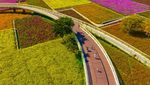 Sejuk Banget, Lihat Ladang Bunga Bermekaran di China
