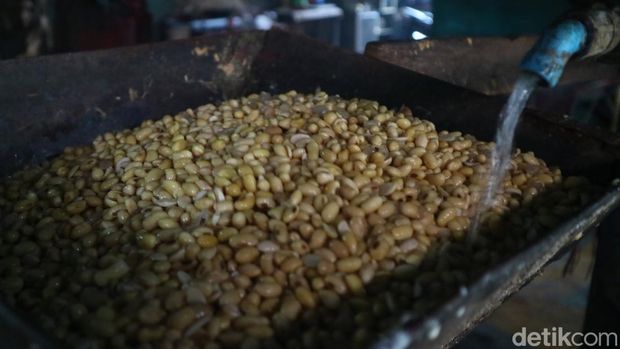 Harga kedelai di Pati tembus Rp 13.000 per kilogram.