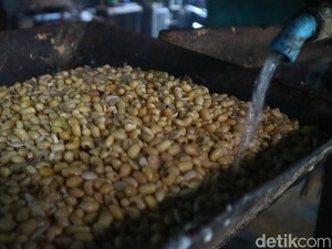 Jamin Harga Kedelai Turun Desember, Zulhas: Kami Sudah Subsidi
