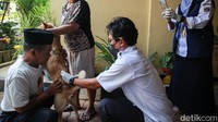 Petugas menyuntikkan vaksin rabies ke seekor anjing.
