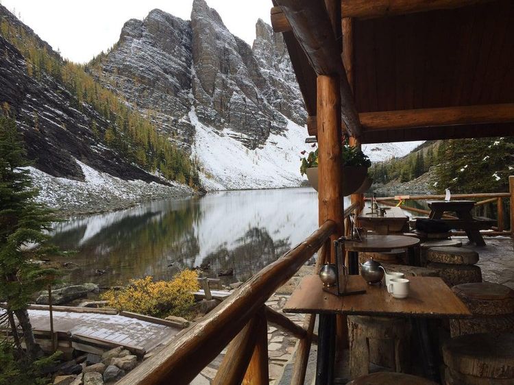 Beroperasi Sejak 1905, Tempat Teh Tertua di Dunia Ini Punya Panorama Cantik