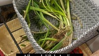 Pemandangan unik juga ditemukan di sudut dapur Andien Aisyah. Ada daun bawang dan seledri yang mulai layu yang disebutkan dibeli dari sisa kembalian saat belanja sayur. Foto: Instagram/biasalahanakmuda