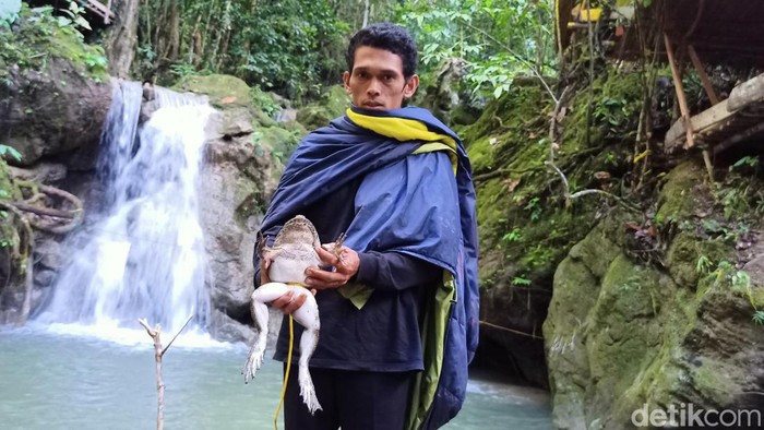 Umar (35), Kepala Desa (Kades) Kadingeh, Kabupaten Enrekang, Sulawesi Selatan (Sulsel).