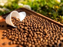 Kopi Lanang, Kopi Unik yang Populer Sebagai Penambah Gairah Seks Pria