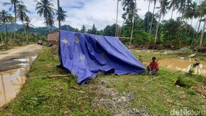 Pemilik rumah yang ambruk di Mamuju, Sulawesi Barat (Sulbar) kini mendirikan tenda darurat di halaman rumah yang ambruk.