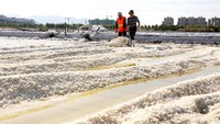 Sekilas panan garam ini mirip dengan para petani di Indonesia.