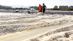 Mengintip Panen Garam di China, Sama Nggak Kayak di RI?