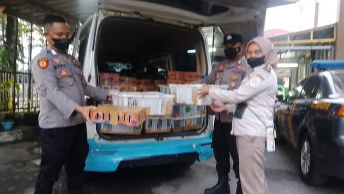 Penyelundupan burung dari Lampung ke Bandung digagalkan (Dok istimewa)