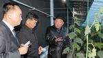 Resmikan Rumah Kaca Raksasa, Kim Jong Un Semringah Banget