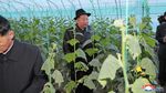 Resmikan Rumah Kaca Raksasa, Kim Jong Un Semringah Banget