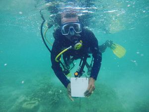 Hidden Gem Indonesia Timur, Spot Snorkeling-Diving Cantik di Tanimbar