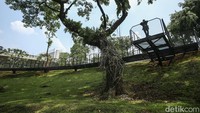 Kini warga juga bisa menimati pemandangan taman dari atas jembatan.