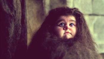 Rubeus Hagrid Foto: Trevor Elliott/Hardhead1110