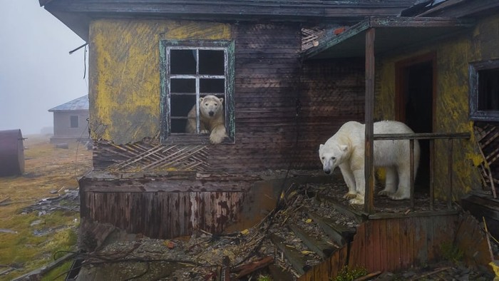 Wildlife Photographer of the Year 2022