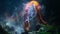 Tony Wu menyaksikan tarian reproduksi yang menggetarkan dari bintang laut raksasa. Foto bernama Shooting star diambil di Teluk Kinko, Prefektur Kagoshima, Jepang.