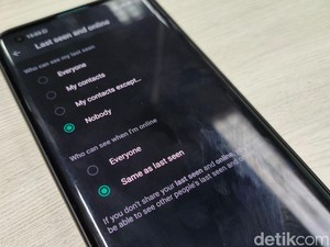 Bagaimana Agar Kita Tidak Terlihat Online di WhatsApp? Ini Caranya