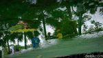 Diresmikan Anies, TMB Delonix Jaktim Cocok Jadi Spot Refreshing