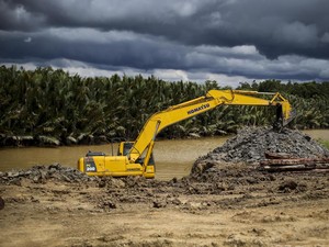 Pengamat Sebut Swasta Ogah Investasi Kalau IKN Masih Hutan