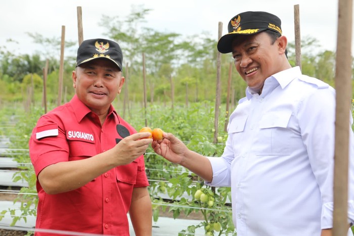 Pemprov Kalteng