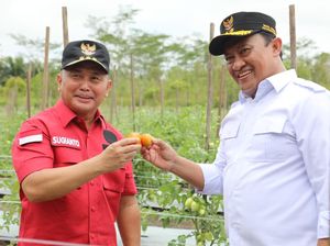 Gubernur Kalteng Dorong Milenial Jadi Petani: Lahan Kita Cukup Subur