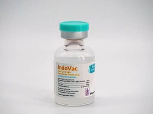 Bio Farma Setop Produksi Vaksin IndoVac Usai Kantongi Izin, Kenapa?
