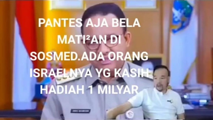 Video Anies