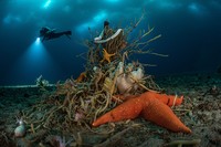 Wildlife Photographer of the Year 2022