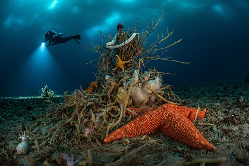 Wildlife Photographer of the Year 2022