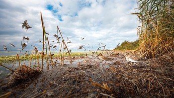 Juara kategori Rising Star Portfolio Award diraih  Mateusz Piesiak dari Polandia. Kamera: Canon EOS R + 14–35mm f4 lens at 14mm; 1/1000 sec at f10(+0.7 e/v); ISO 500; wireless trigger. Foto: Wildlife Photographer of the Year