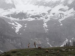 Juara Kontes Foto Satwa Liar 2022 yang Bikin Mata Tercengang