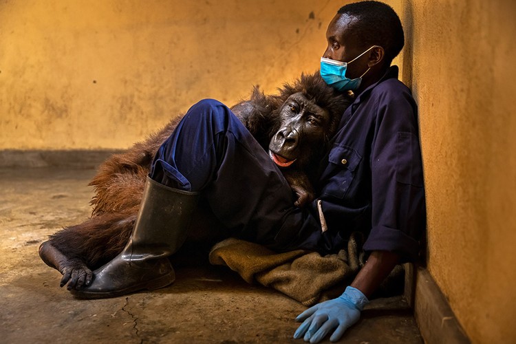 Wildlife Photographer of the Year 2022