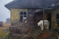 Wildlife Photographer of the Year 2022