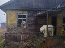 Juara Kontes Foto Satwa Liar 2022 yang Bikin Mata Tercengang