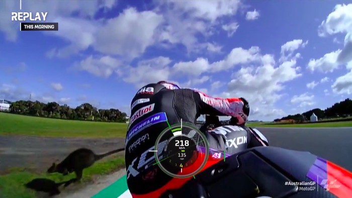 Aleix Espargaro hampir menabrak Walabi
